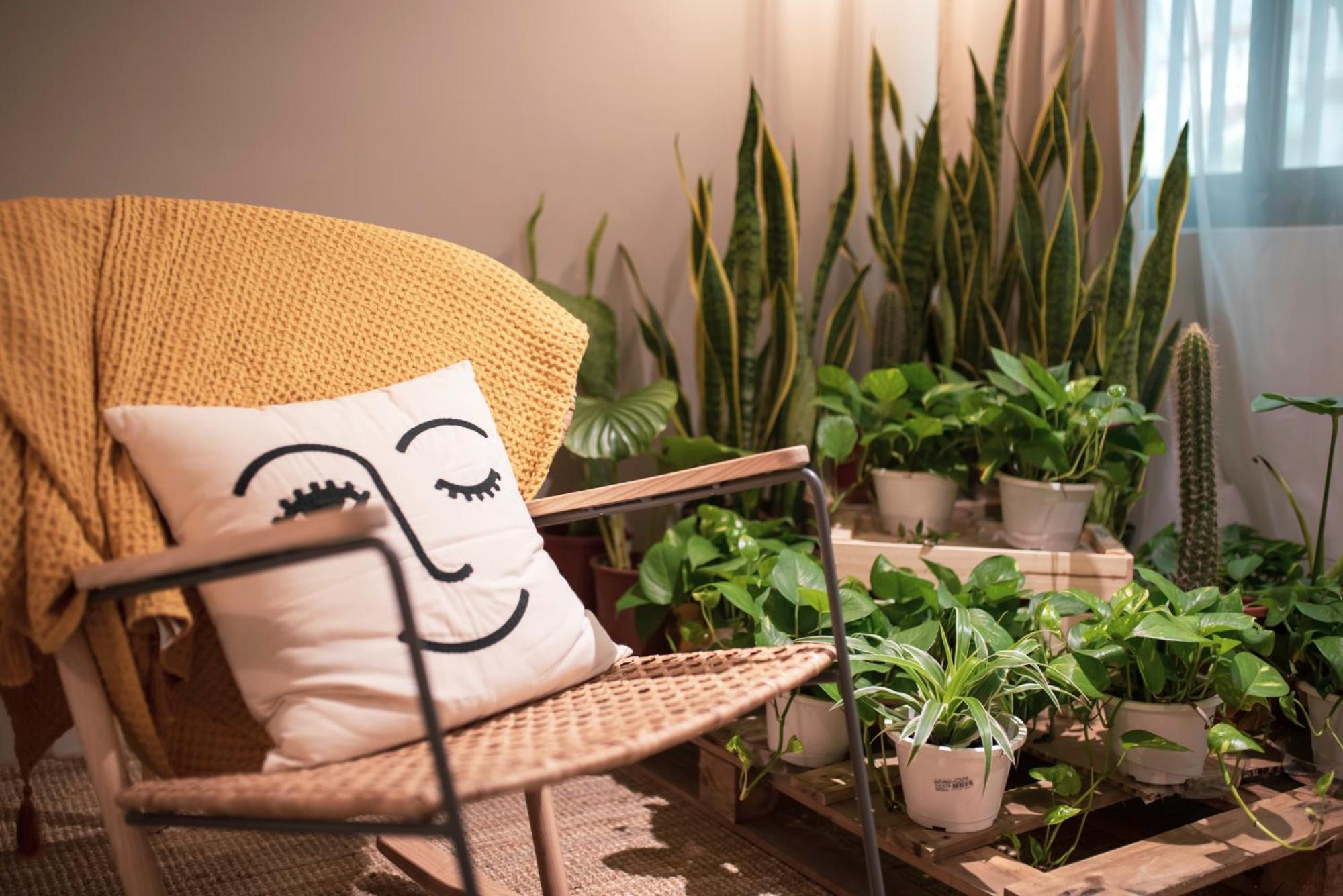 微趣 Wechill Hotel Tajnan Szoba fotó